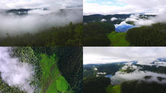 原创航拍高山湖泊 原始森林 高山草甸