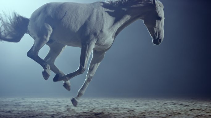 白马在夜间飞奔穿过骑乘大厅