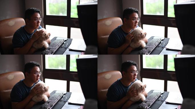 一名男子和他的卷毛狗宠物一起看着电脑