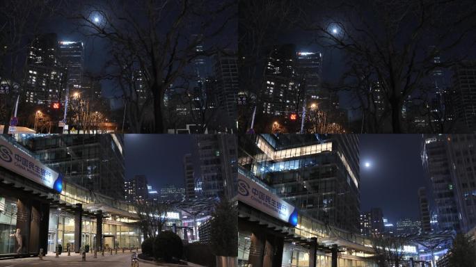 夜晚城市高楼中明亮的月亮之下的枯树