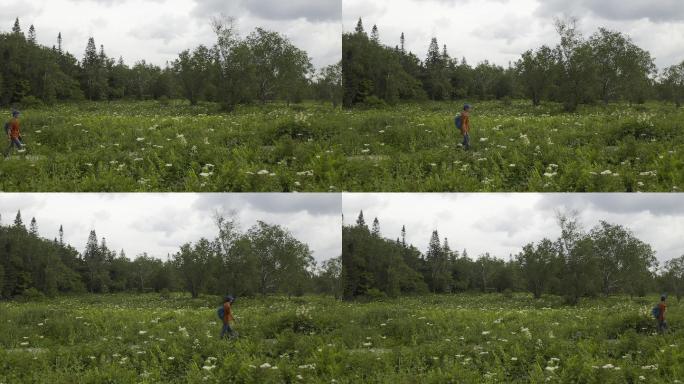 吉林长白山王池花园风光