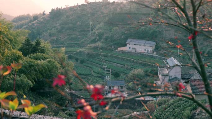 夕阳山间民宿2