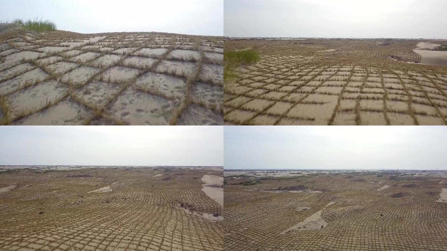 沙漠治理网格化防风固沙