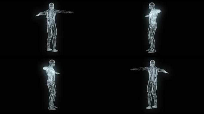 男性身体模型人体心脏三维动画人体3D跳动