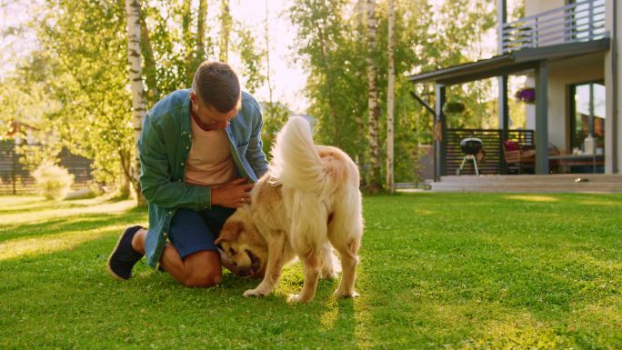 英俊的年轻人和他忠诚的金毛猎犬搏斗