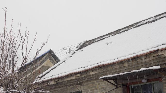 4K北方冬天农村老房子下雪实拍视频