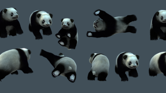 带毛发大熊猫 影视级超写实熊猫 带通道