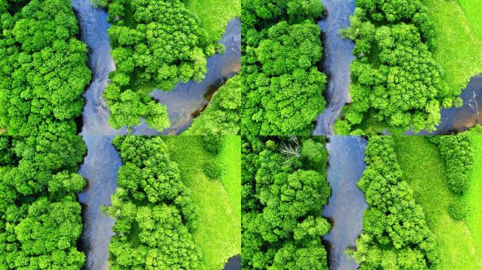 绿色森林和蓝色河流的俯视图