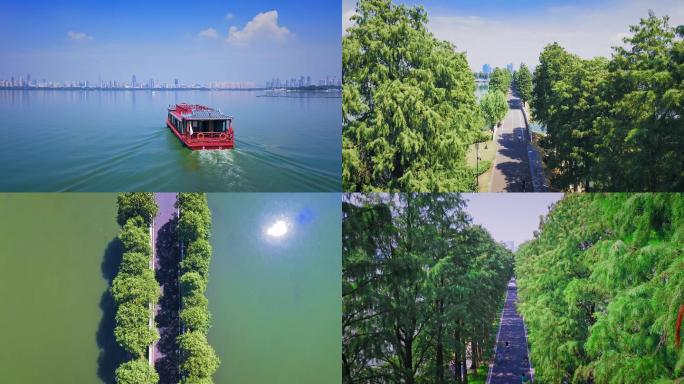 【4k原创】武汉东湖公园风景区自然风光
