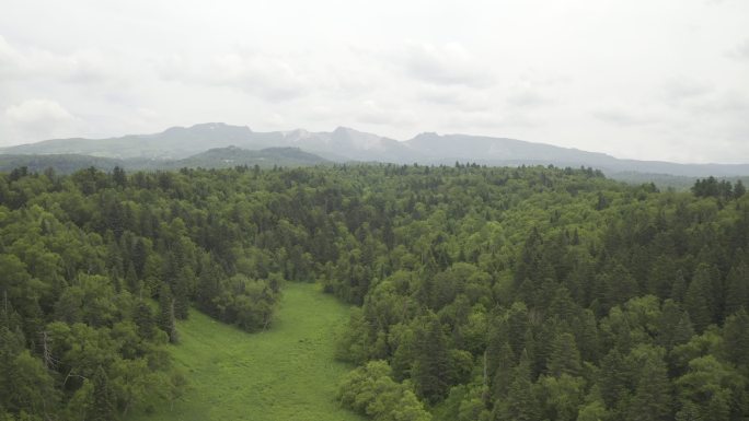 吉林长白山高山花园风光