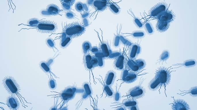 细菌医学背景微生物肠道感染电子显微镜