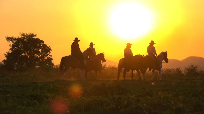 日落时，牛仔骑马在草地上散步