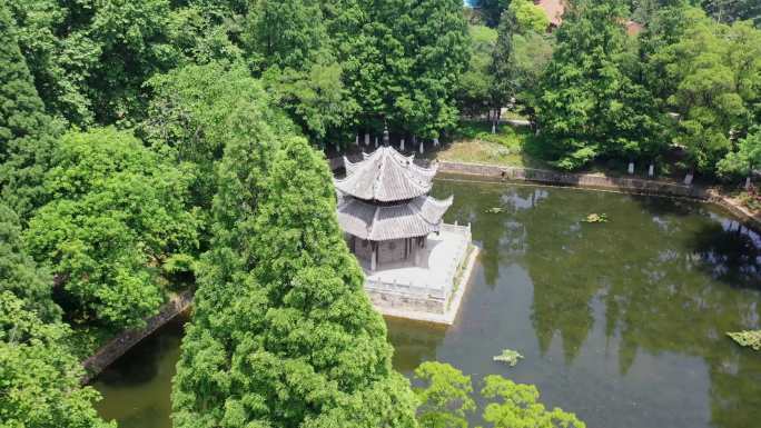 湖北襄阳习家池夏季风光