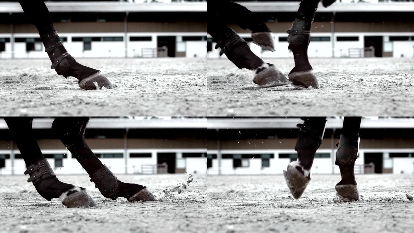 马在跳跃时踢沙子