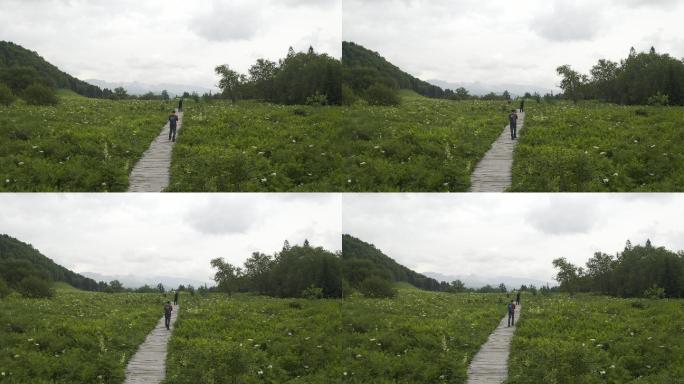 吉林长白山王池花园风光