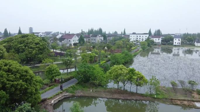 苏州吴江太湖七都水乡农村双塔景色