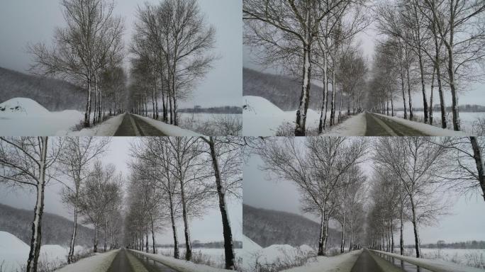下雪天的树林 道路