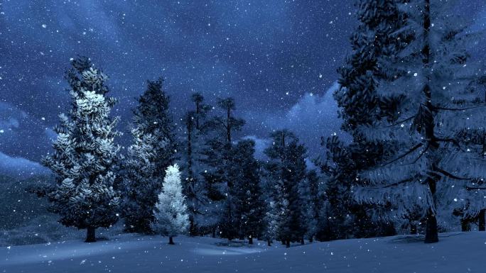 山中白雪覆盖的松林夜景