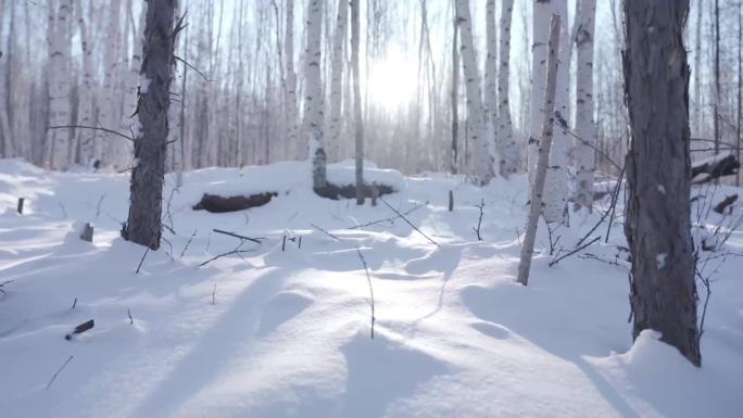 林海雪原积雪树木