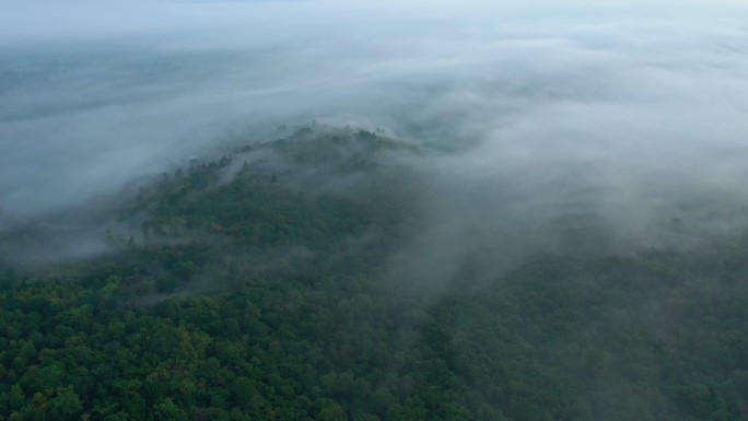 俯瞰覆盖山谷的雾浓雾