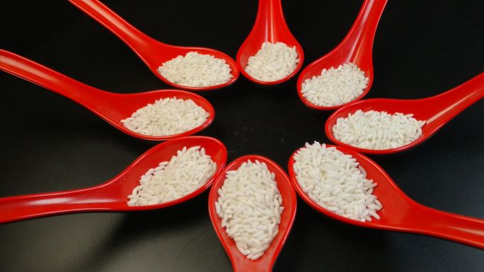 大米五谷杂粮优质糯米（十五）