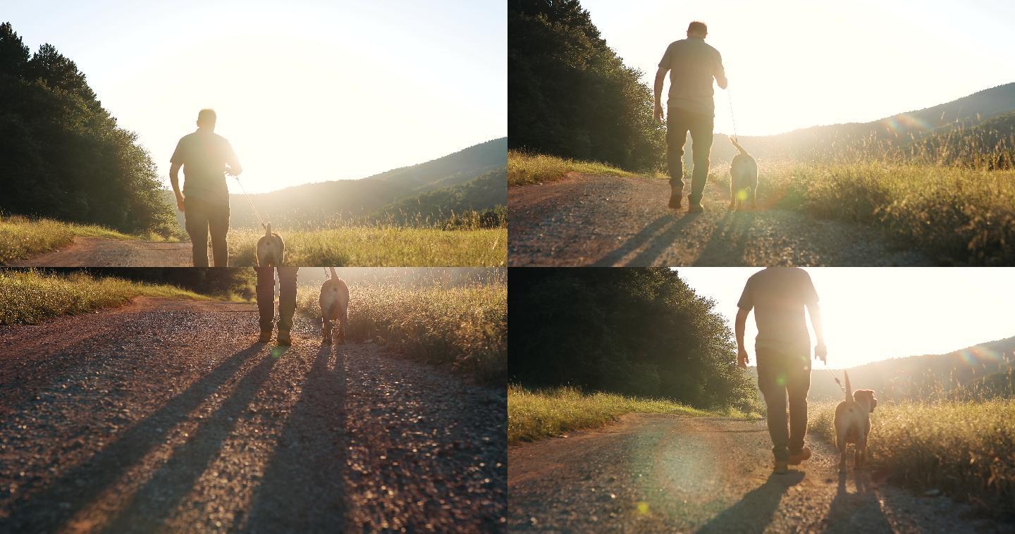 日落时，一位老人带着他的狗在大自然中散步