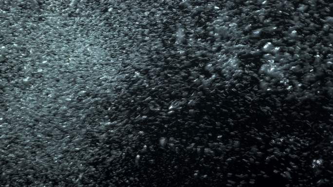 水下的泡沫水泡二氧化碳深海潜水
