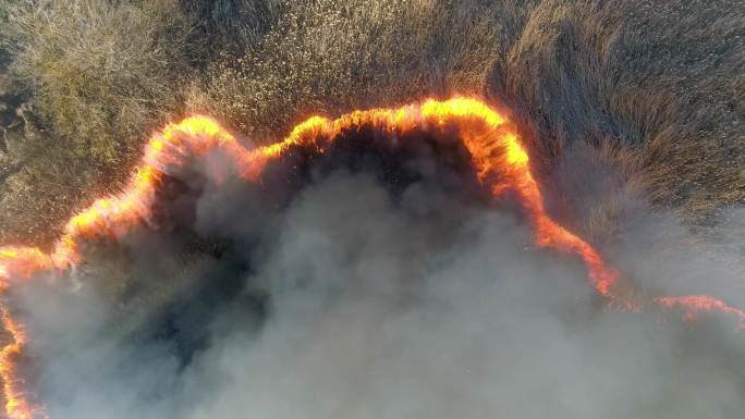 冒烟的干草燃烧山林山火农林大火自然起火