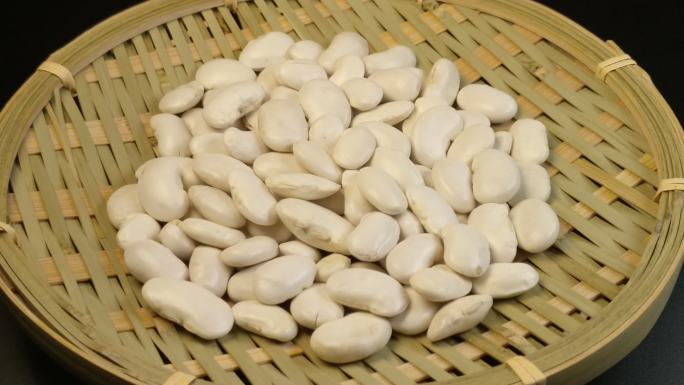 白色的芸豆豆子（九）
