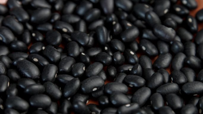 黑豆豆制品天然大豆收获丰收