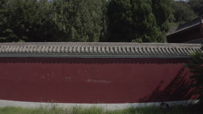 平顶山鲁山大佛佛泉寺的墙壁绿竹
