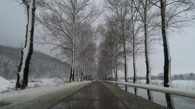 雪天 下雪 泥泞 树林 道路