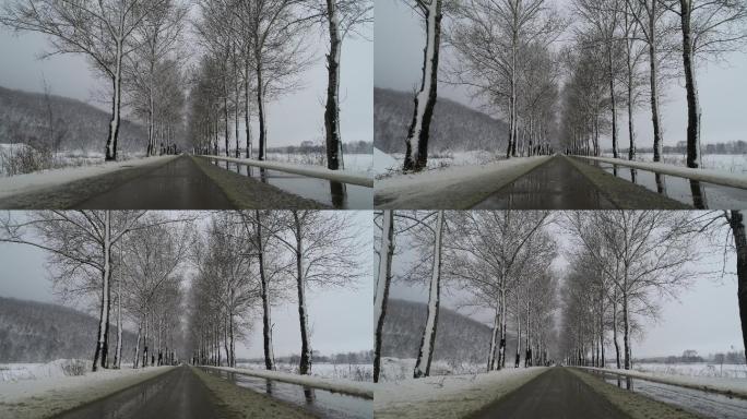 雪天 下雪 泥泞 树林 道路