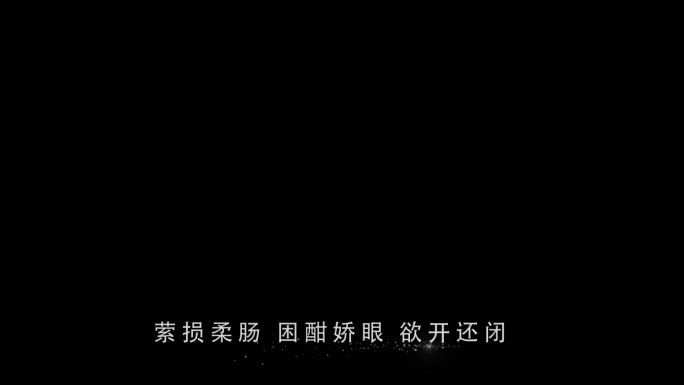 《水龙吟》苏轼诗词字幕特效