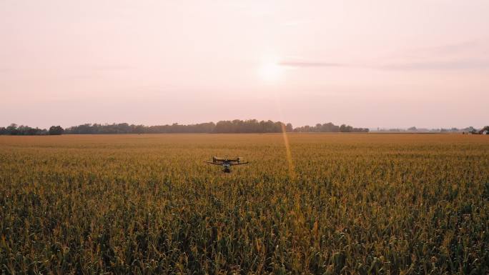 日落时在田野上空飞行的无人机