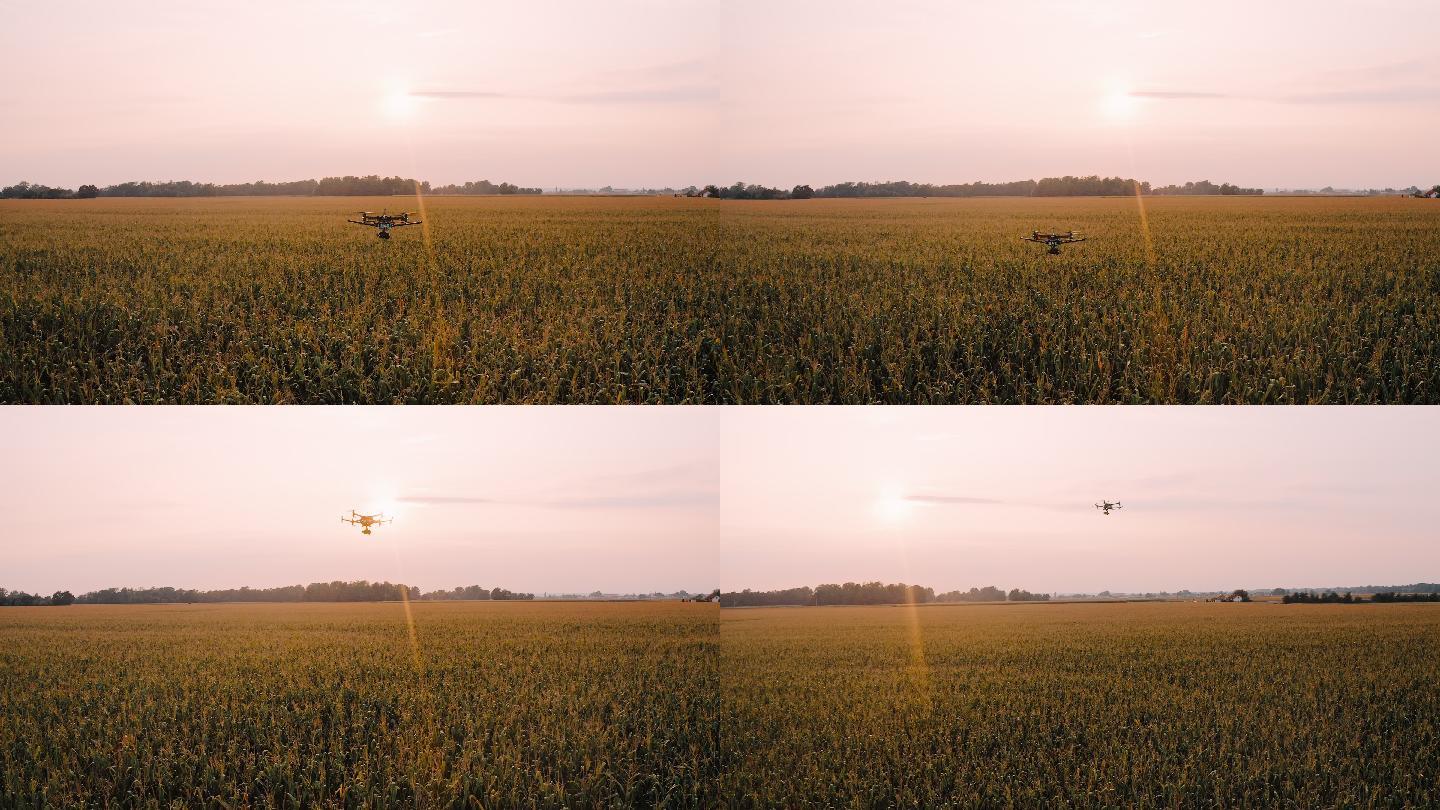 日落时在田野上空飞行的无人机