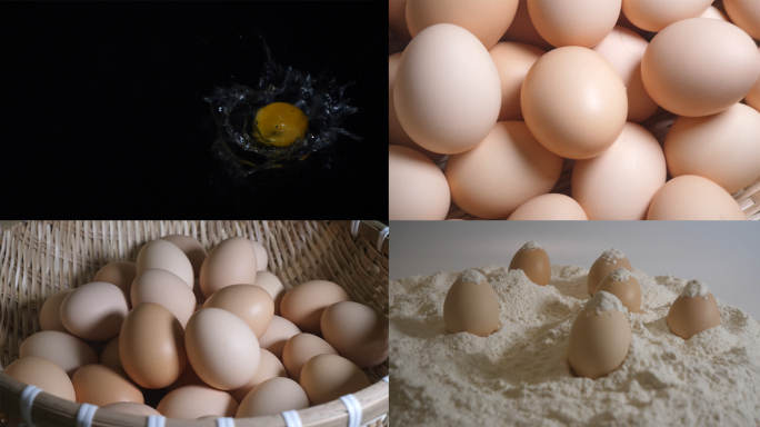 鸡蛋 草鸡蛋 面粉 食品 产品 农产品