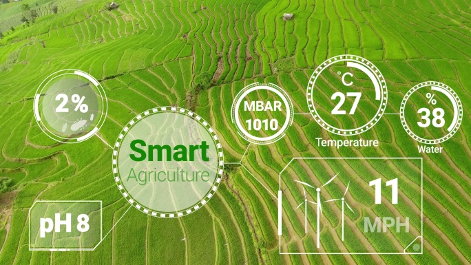 通过未来传感器数据采集实现智能数字农业技术