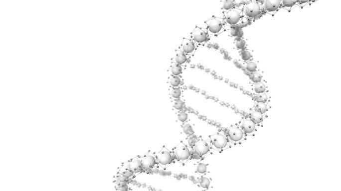 动画循环DNA链模型