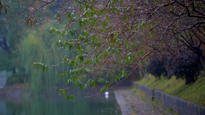 下雨雨天雨景合集