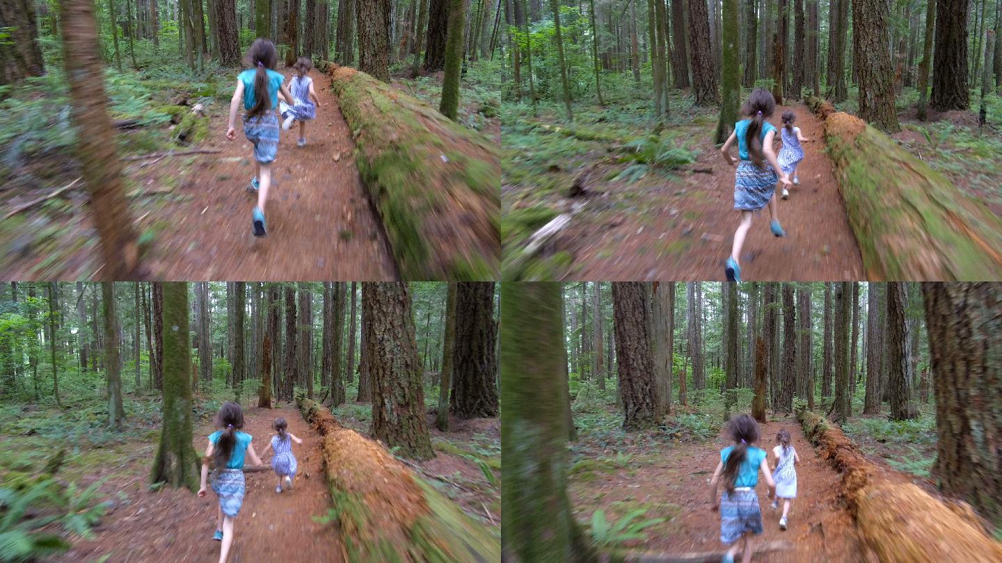 穿过森林的姐妹追逐打闹奔跑树林姐姐妹妹