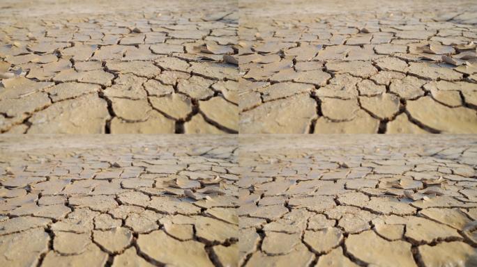 旱地与干旱水土流失土壤沙化