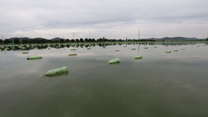 珍珠养殖蚌塘运动水面原素材