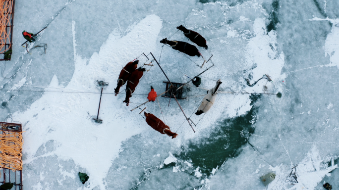 冬捕捕鱼渔猎文化传承