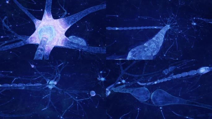 神经元网络医学研究动画模型蓝色背景素材