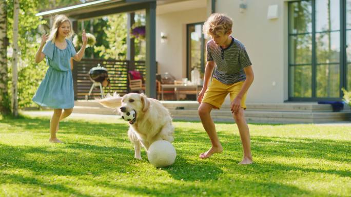 两个孩子在后院的草坪上和金色猎犬玩