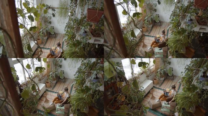 有植物的大房间阳台植物