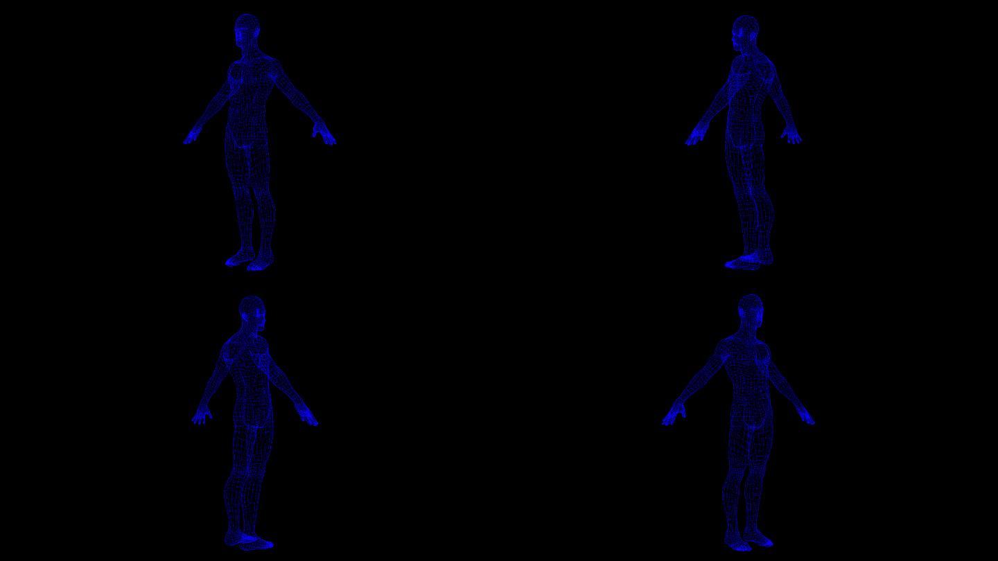 人体结构线科技视频