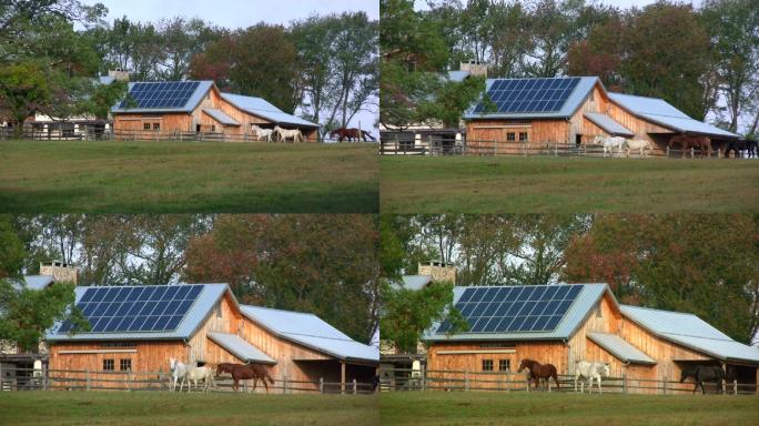农场上的太阳能电池板