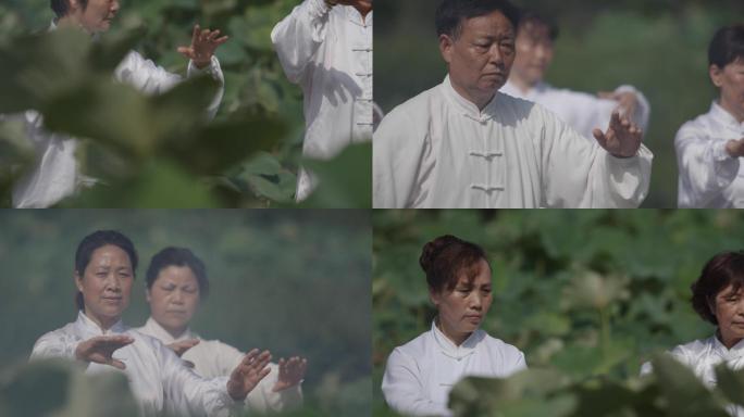 太极 太极拳 老人 打太极 公园 晨练